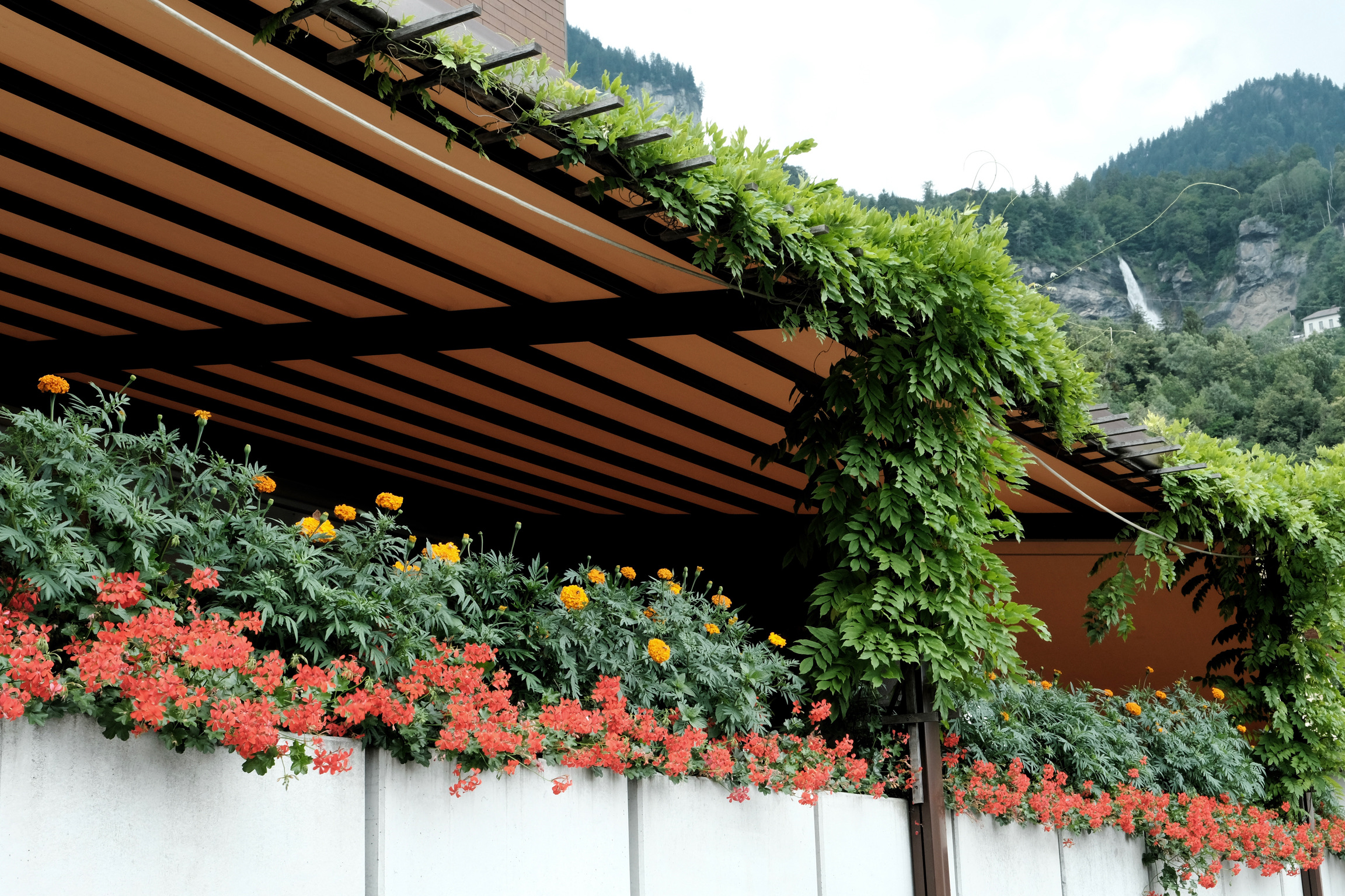 Restaurant Terrasse